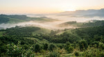 Load image into Gallery viewer, Misty dreamlike highland countryside at dawn, Vanilla Dream's origin mood